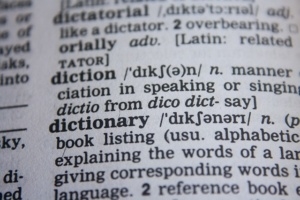 dictionary and words