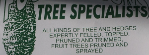tree specialist