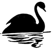 black-swan-marketing-copywriter-collective