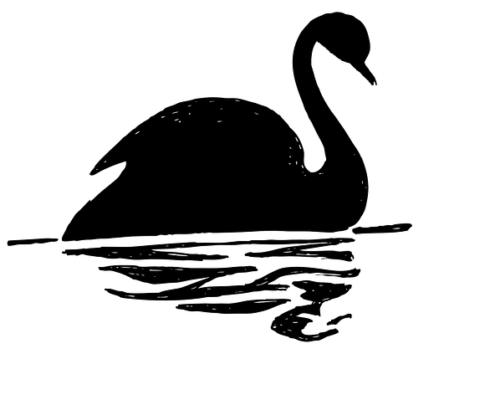 black-swan-marketing-copywriter-collective