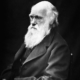learn-from-charles-darwin-copywriter-collective