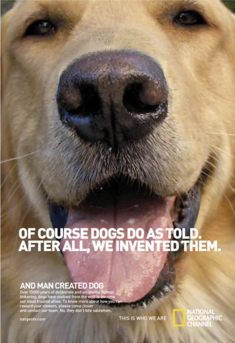 national-geographic-rishabh-english-copywriting-prague-copywriter-collective