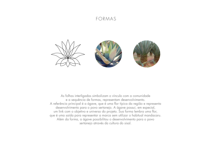 flowers-savio-portuguese-copywriting-fortaleza-copywriter-collective