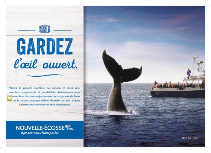 nouvelle-écosse-maryse-french-copywriting-montreal-canada-copywriter-collective