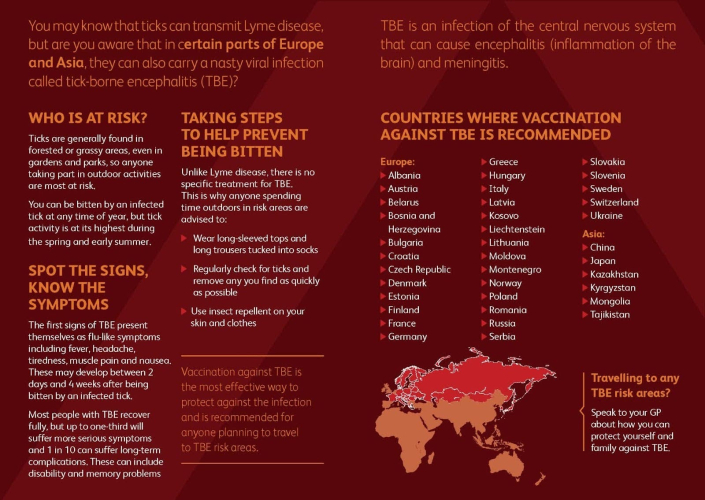 Lyme disease, Benji, English copywriter in Barcelona, Copywriter Collective