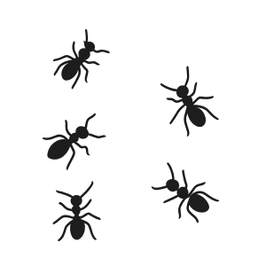 Ants Copywriter Collective