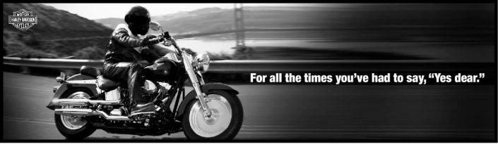 Harley-Davidson print campaign by Sheenu Kapoor, senior advertising creative
